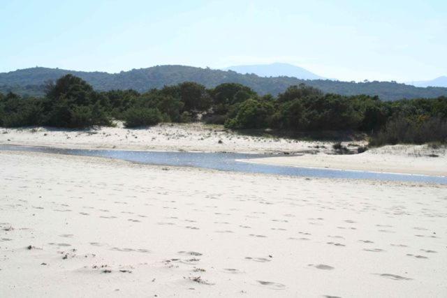 Villa Magnolia Muravera Bagian luar foto